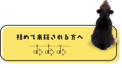 初めて来院される方へ