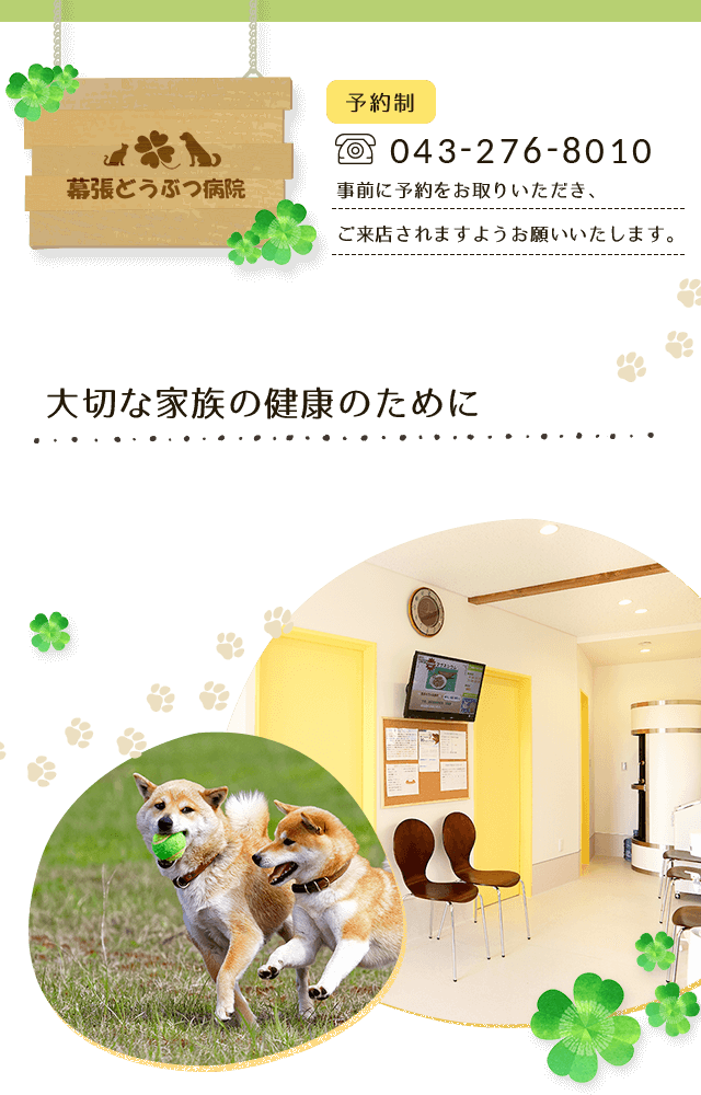 千葉県幕張の犬猫 動物病院は幕張どうぶつ病院